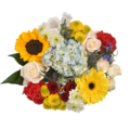 Giant Color Collection Coastal Vibe Gold Bouquet