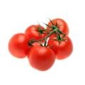 Organic Campari Tomatoes
