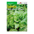 Burpee Vegetable Lettuce Black Seeded Simpson