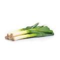 Organic Leeks
