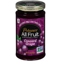 Polaner All Fruit Concord Grape Spreadable