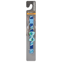 Companion Dog Collar Adjustable Small Blue