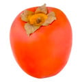 American Persimmon