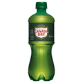 Canada Dry Ginger Ale Soda Caffeine Free
