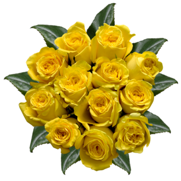 Giant Yellow Roses Bunch
