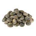 Littleneck Clams Fresh