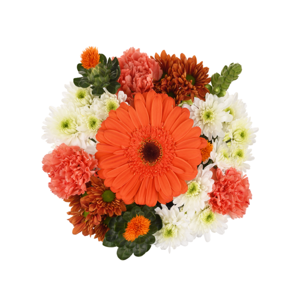 Stop & Shop Thanksgiving Blooming Attraction Bouquet (Colors May Vary)