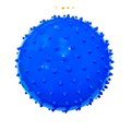 Summer 6 Inch Fun Playballs Blue