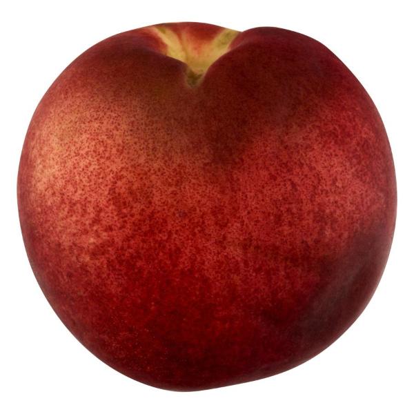 White Flesh Nectarines