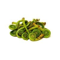 Fiddlehead Ferns