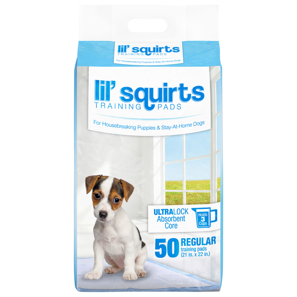 Ruffin' It Lil' Squirts Training Pads 21 x 22 Inch