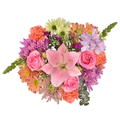 Stop & Shop Signature Stems Bouquet