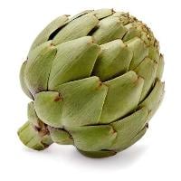 Large Artichokes