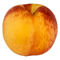 Organic Nectarines