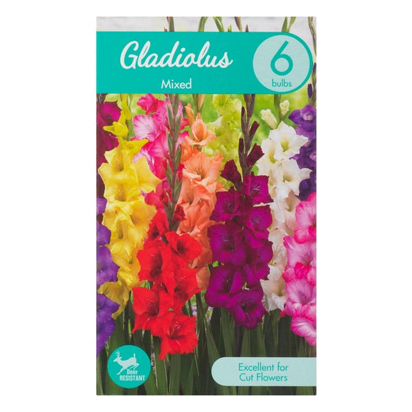 Garden State Bulb Company Gladiolus Mixed