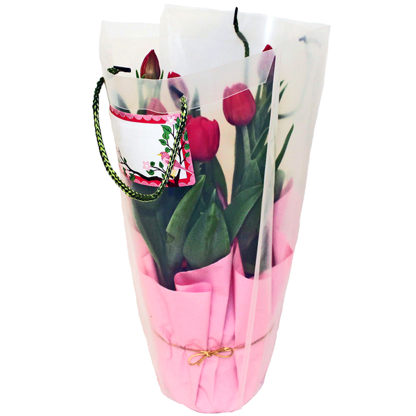 Potted Tulips 6 Inch