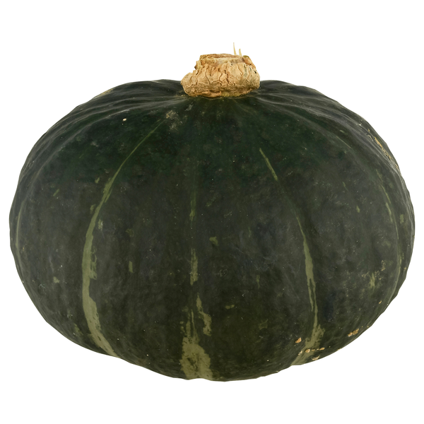 Buttercup Squash