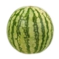 Seedless Bambino Watermelon