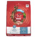 Purina ONE +Plus Joint Health Chicken Adult Dry Dog Food