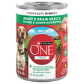 Purina ONE Heart & Brain Health Chicken & Brown Rice Entree Wet Dog Food