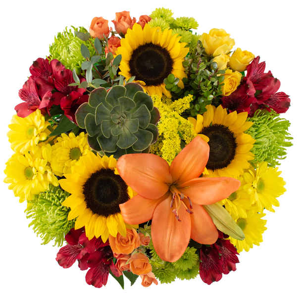 Giant Bloom & Grow August Bouquet