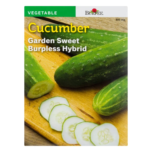 Burpee Vegetable Cucumber Garden Sweet Burpless Hybrid