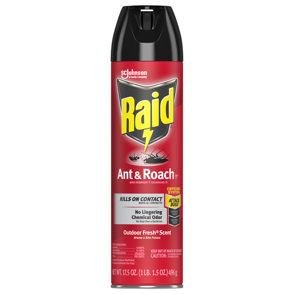 Raid Ant & Roach Killer Spray Aerosol Outdoor Fresh Scent