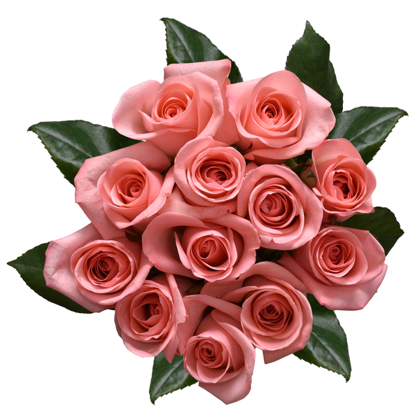 Giant Light Pink Roses Bunch