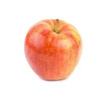 Jonagold Apple