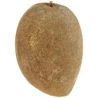 Mamey Sapote