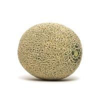 Athena Cantaloupe
