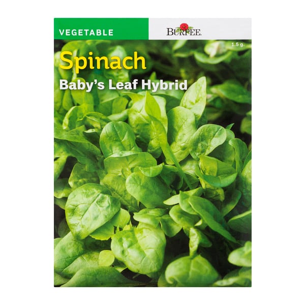 Burpee Vegetable Spinach Baby's Leaf Hybrid