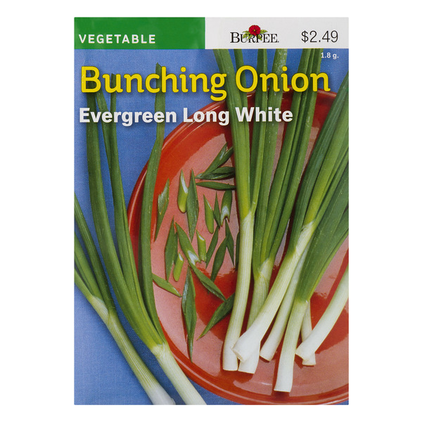 Save on Burpee Vegetable Bunching Onion Seeds Evergreen Long White