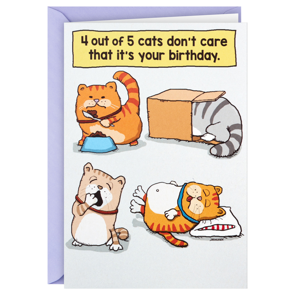 Hallmark Shoebox Funny Birthday Card (Cats Don't Care)
