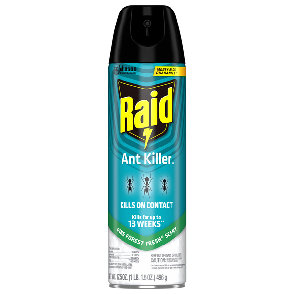 Raid Defense System Ant Killer Spray Aerosol Pine Forest Fresh Scnt